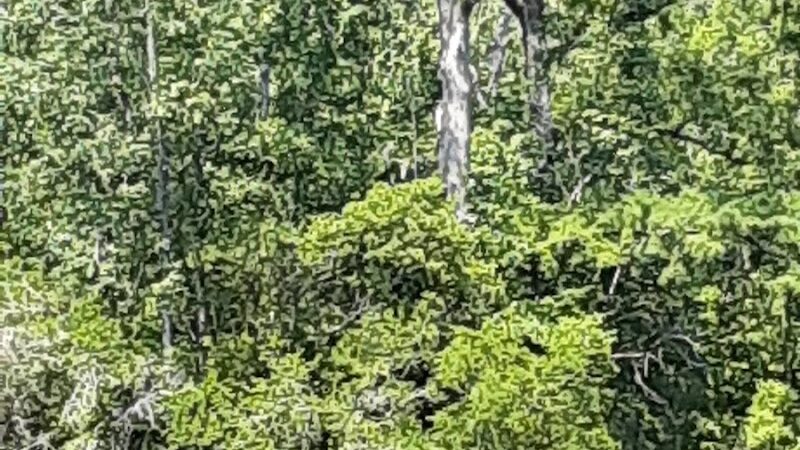 Senior Boardwalk - Camden, NC