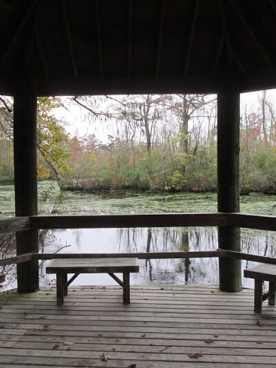 Senior Boardwalk - Camden, NC