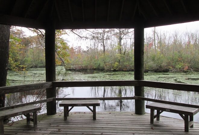 Senior Boardwalk - Camden, NC