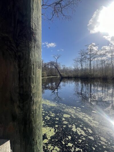 Senior Boardwalk - Camden, NC