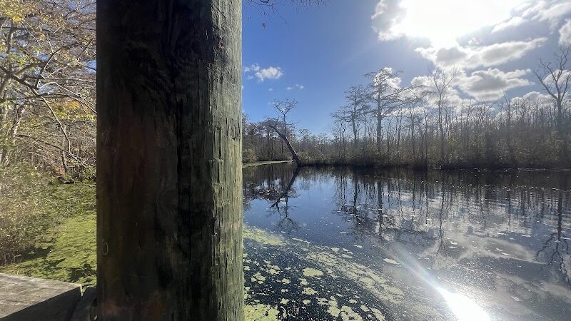 Senior Boardwalk - Camden, NC