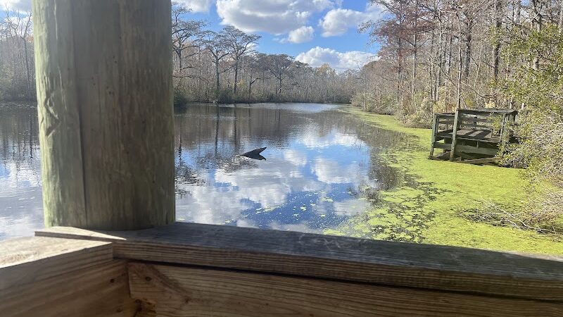 Senior Boardwalk - Camden, NC
