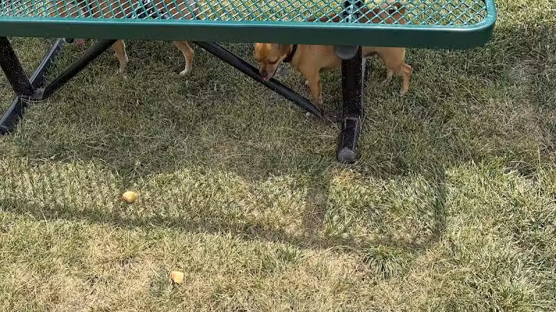 Dog Park at Love's Travel Stops - Cameron, MO