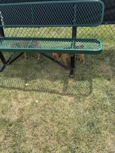 Dog Park at Love's Travel Stops - Cameron, MO