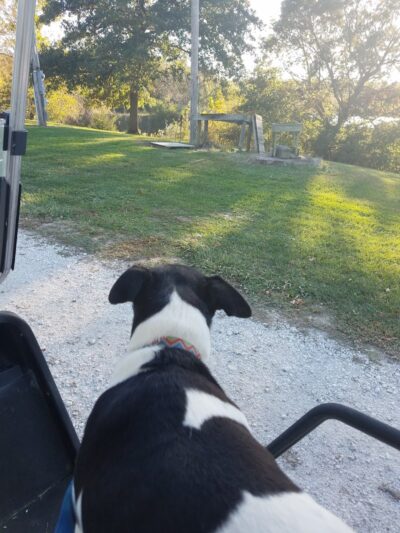 Cedar Lakes - Camp Point, IL