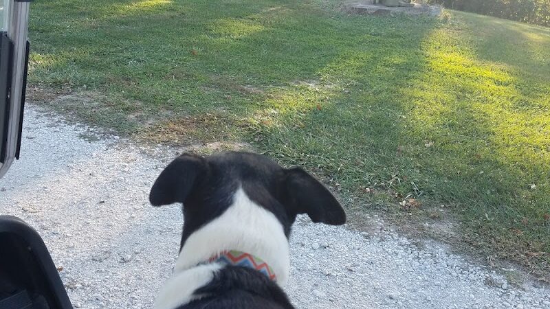 Cedar Lakes - Camp Point, IL