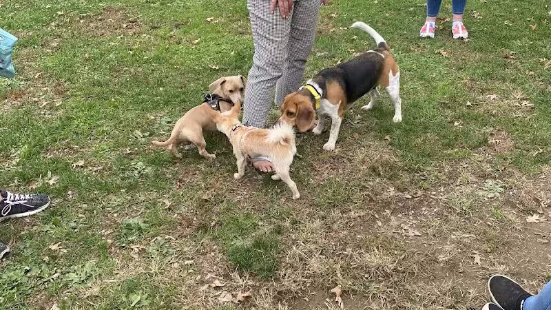 Dog Park at Thomas Bull Memorial Park - Campbell Hall, NY