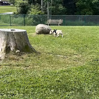 Dog Park at Thomas Bull Memorial Park - Campbell Hall, NY