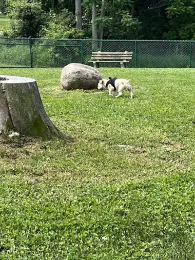 Dog Park at Thomas Bull Memorial Park - Campbell Hall, NY