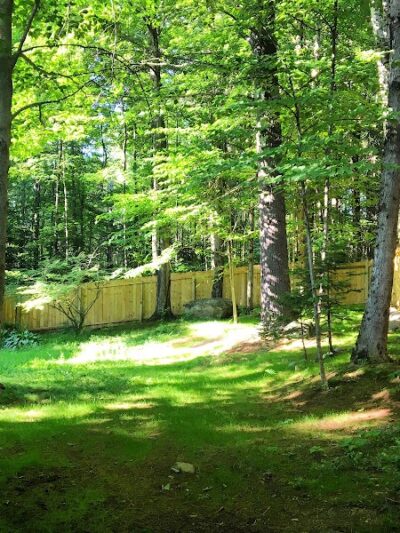 Jezzie's Place Rescue - Canaan, NH