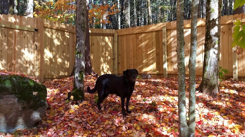 Jezzie's Place Rescue - Canaan, NH