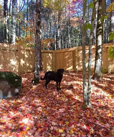 Jezzie's Place Rescue - Canaan, NH