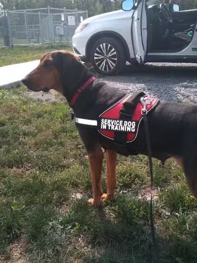 Canandaigua canine campus pet memorial rock garden - Canandaigua, NY