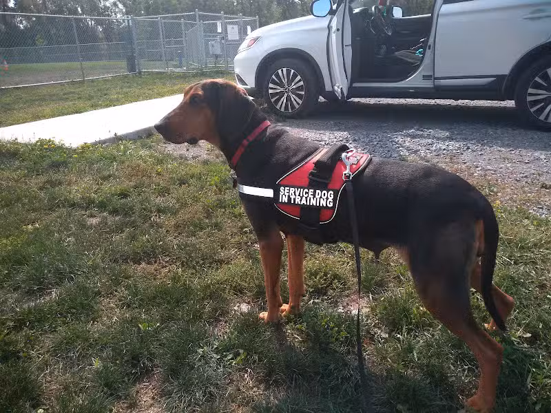 Canandaigua canine campus pet memorial rock garden - Canandaigua, NY