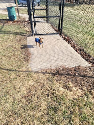 Big Creek Dog Park - Canton, IL