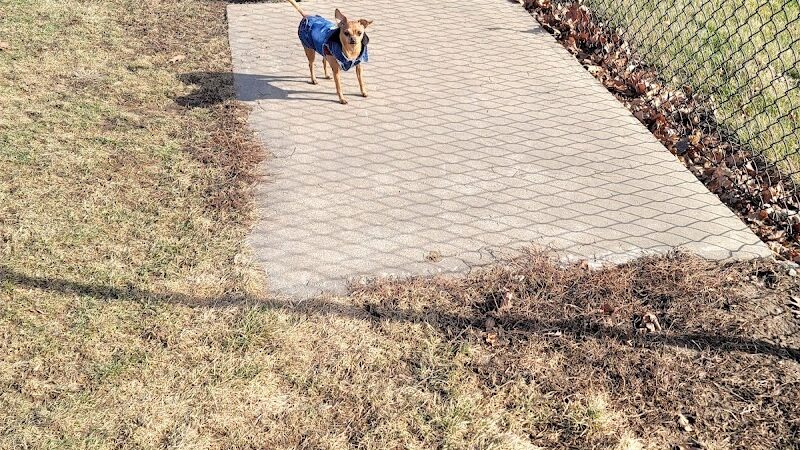 Big Creek Dog Park - Canton, IL