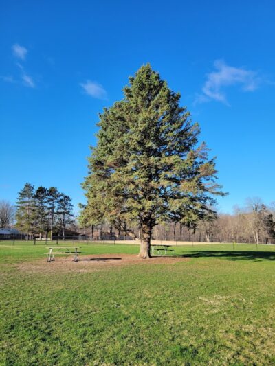 Big Creek Dog Park - Canton, IL