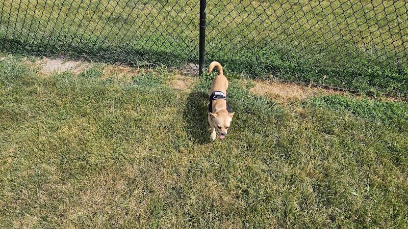 Big Creek Dog Park - Canton, IL