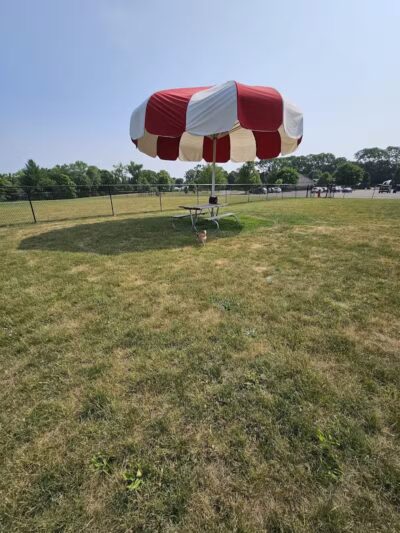 Big Creek Dog Park - Canton, IL