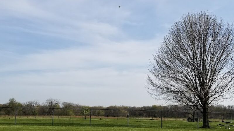 Dog Park - Canton, IL