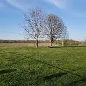 Dog Park - Canton, IL
