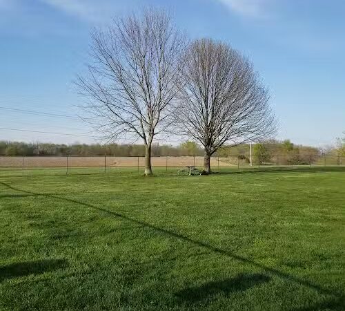 Dog Park - Canton, IL