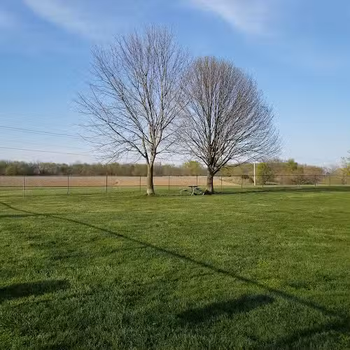 Dog Park - Canton, IL