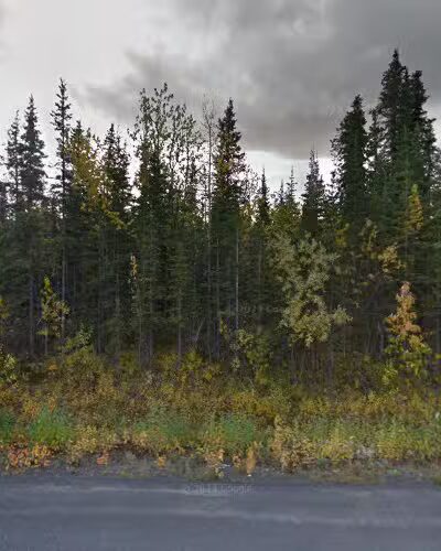 Dog Gone It - Cantwell, AK