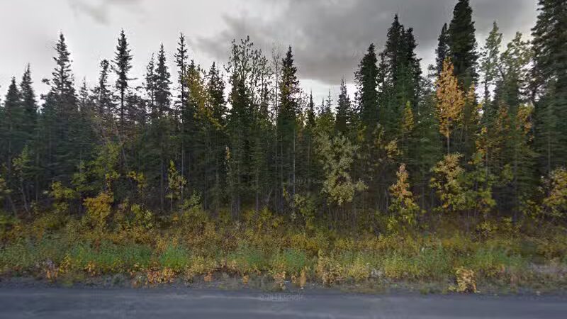Dog Gone It - Cantwell, AK