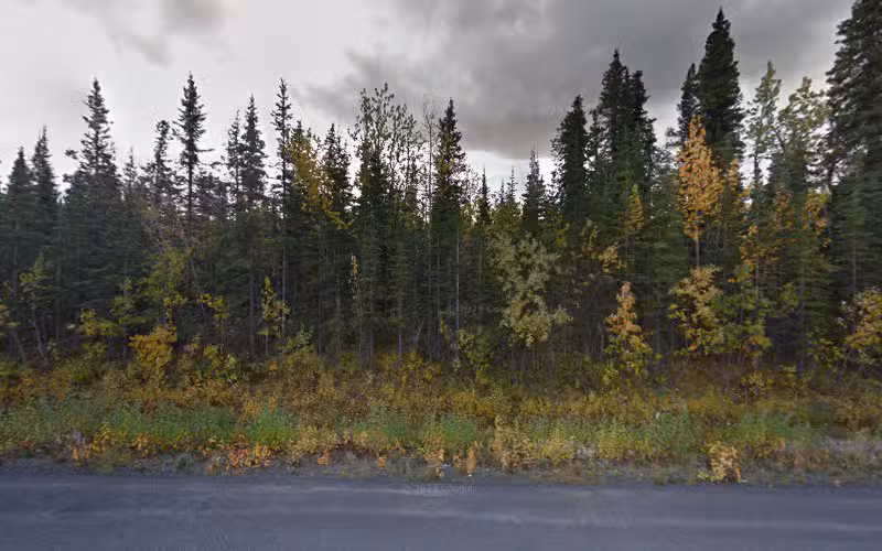 Dog Gone It - Cantwell, AK