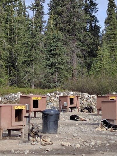 Wolf's Den Kennel - Cantwell, AK