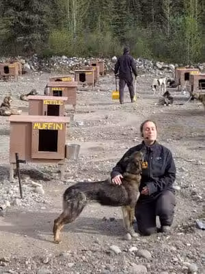 Wolf's Den Kennel - Cantwell, AK