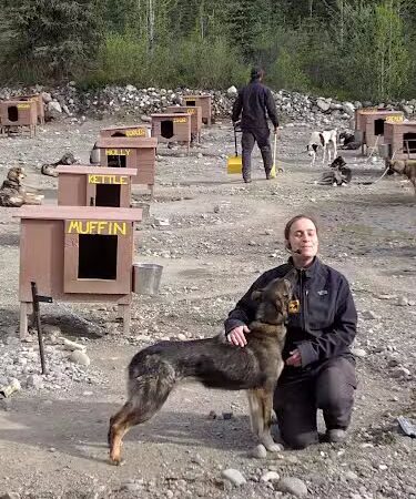 Wolf's Den Kennel - Cantwell, AK