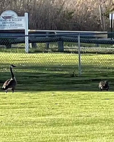 Carbon Cliff Park - Carbon Cliff, IL