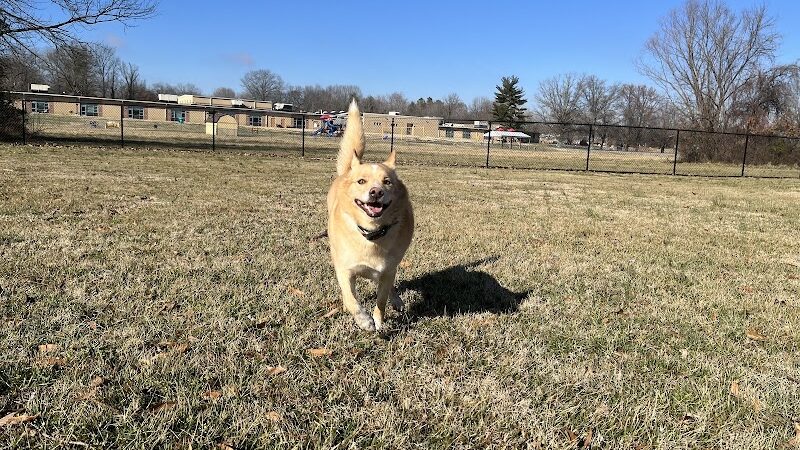 PetSafe Carbondale Community Dog Park - Carbondale, IL
