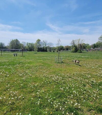 PetSafe Carbondale Community Dog Park - Carbondale, IL
