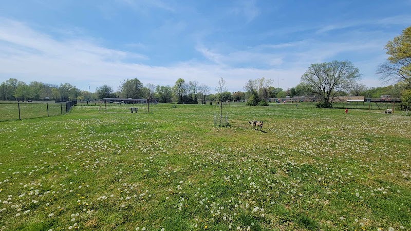 PetSafe Carbondale Community Dog Park - Carbondale, IL