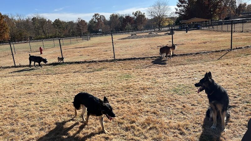 PetSafe Carbondale Community Dog Park - Carbondale, IL