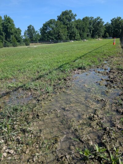 PetSafe Carbondale Community Dog Park - Carbondale, IL