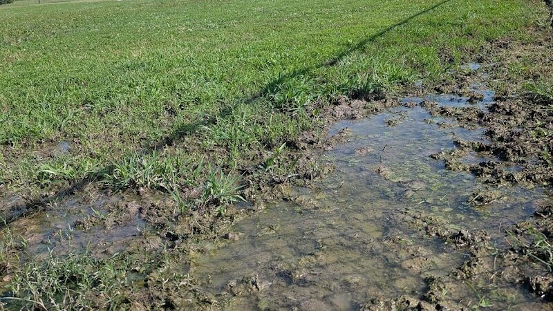 PetSafe Carbondale Community Dog Park - Carbondale, IL