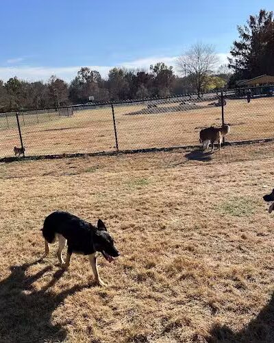 PetSafe Carbondale Community Dog Park - Carbondale, IL