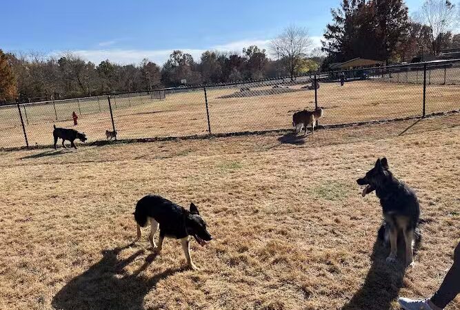 PetSafe Carbondale Community Dog Park - Carbondale, IL