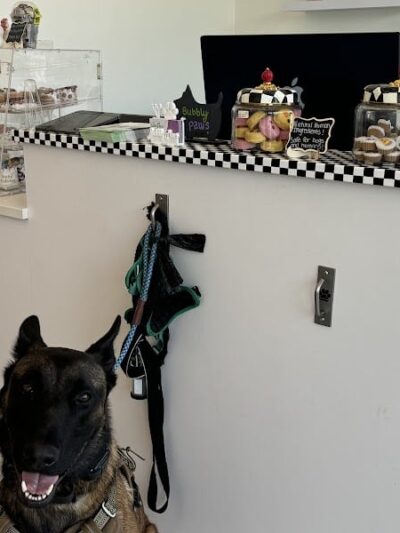 Bubbly Paws - Carle Place, NY