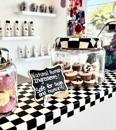 Bubbly Paws - Carle Place, NY