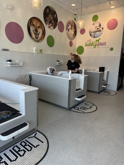 Bubbly Paws - Carle Place, NY
