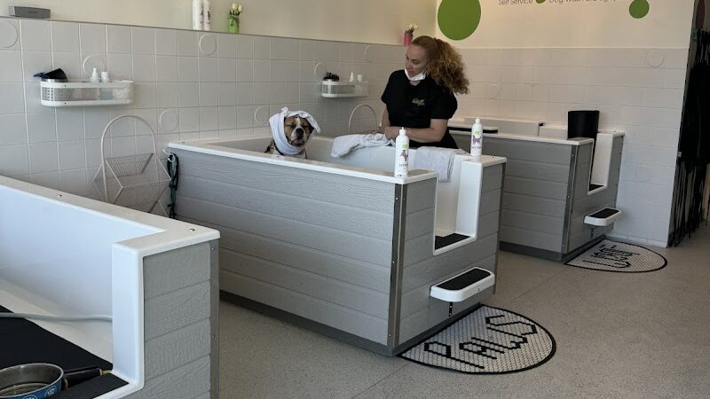 Bubbly Paws - Carle Place, NY