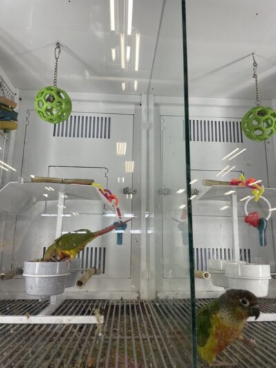 Petco - Carle Place, NY