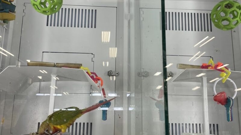 Petco - Carle Place, NY