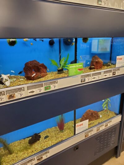 Petco - Carle Place, NY