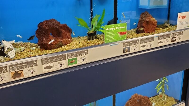 Petco - Carle Place, NY